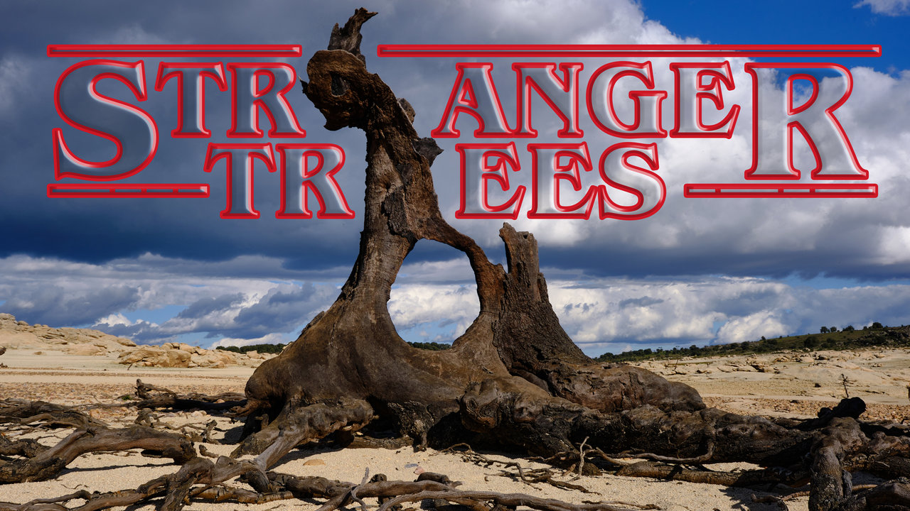 Stranger-Things-Arboles.jpg