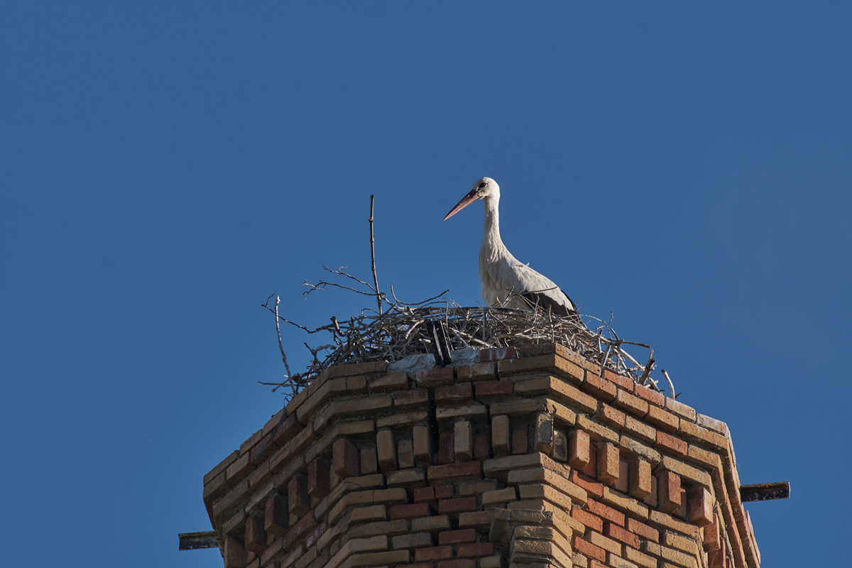 ttartisan500mm 12.jpg