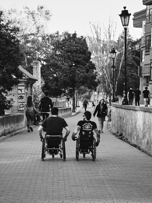 Ultimo paseo 1.jpg