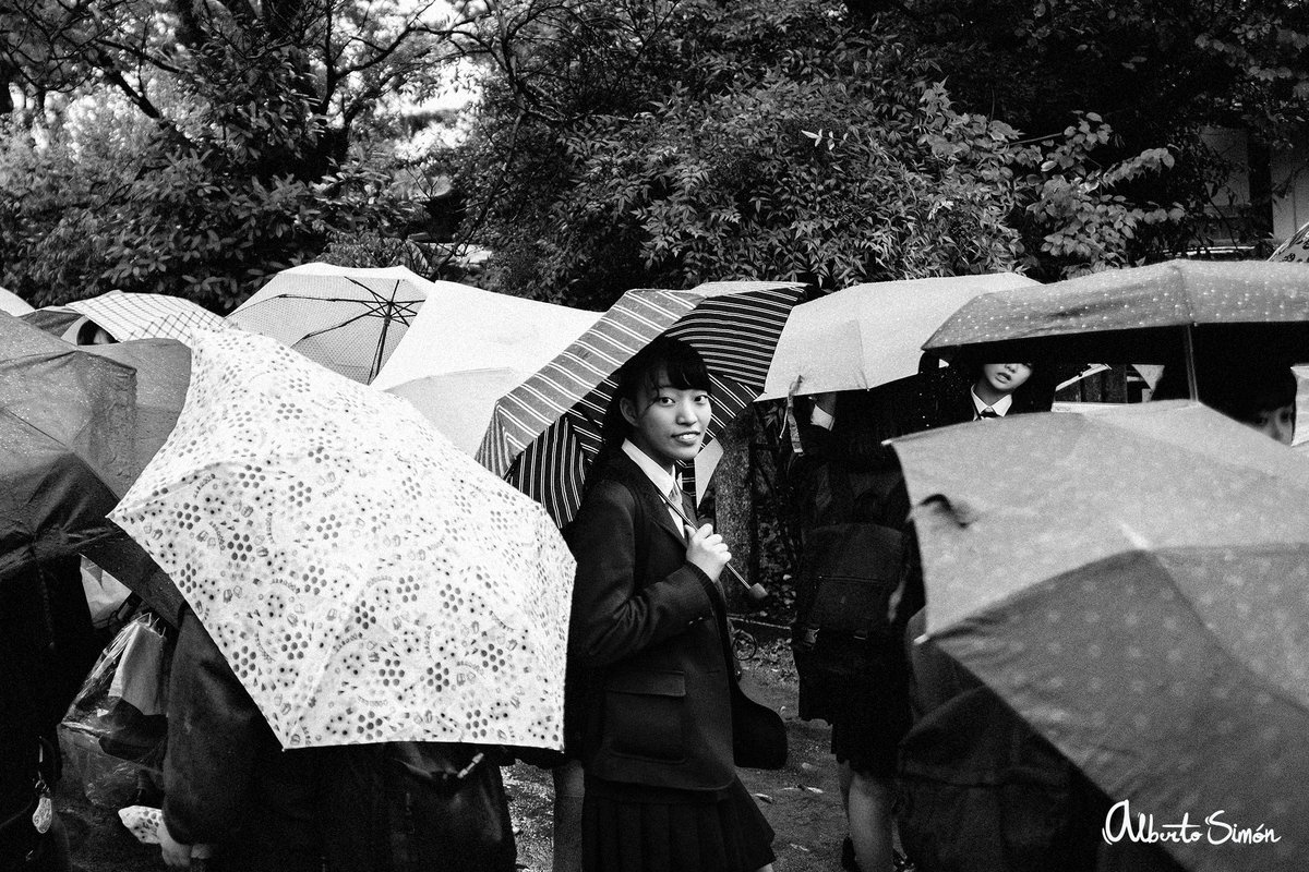 umbrella fuji.jpg