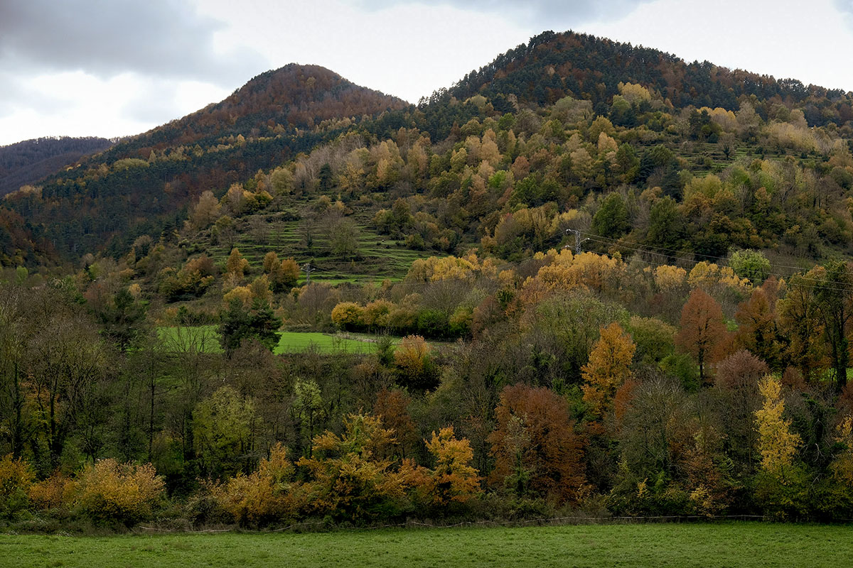 Vallfogona del Ripollés .jpg