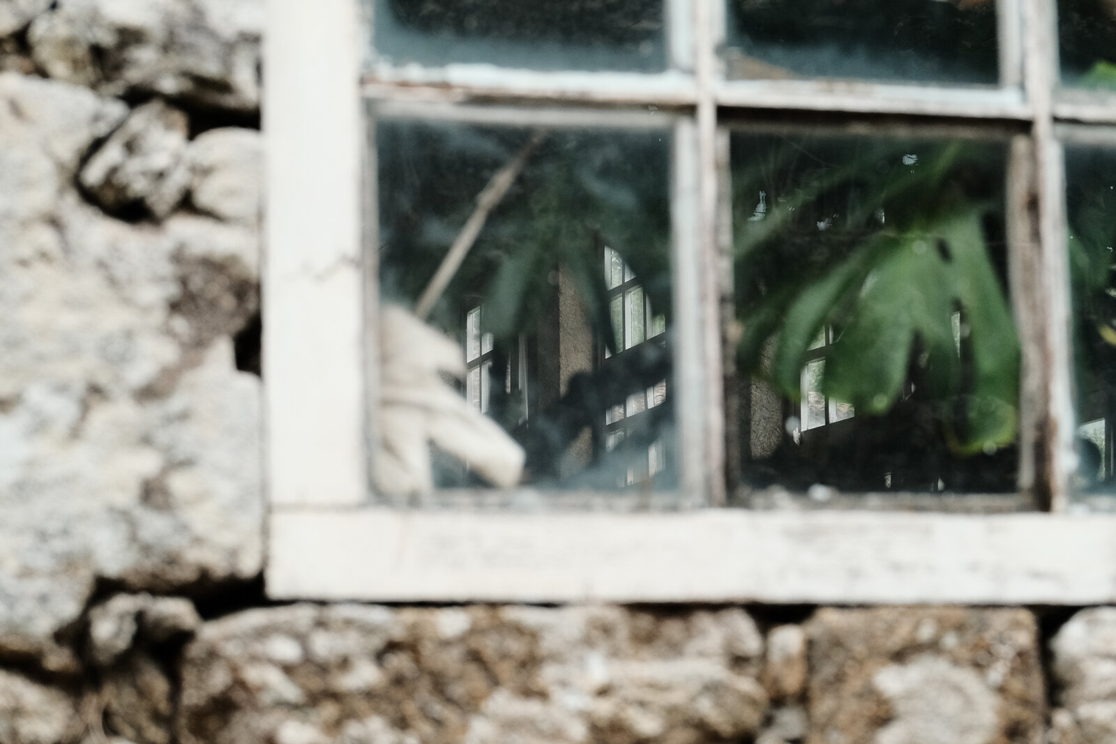 Ventana.JPG