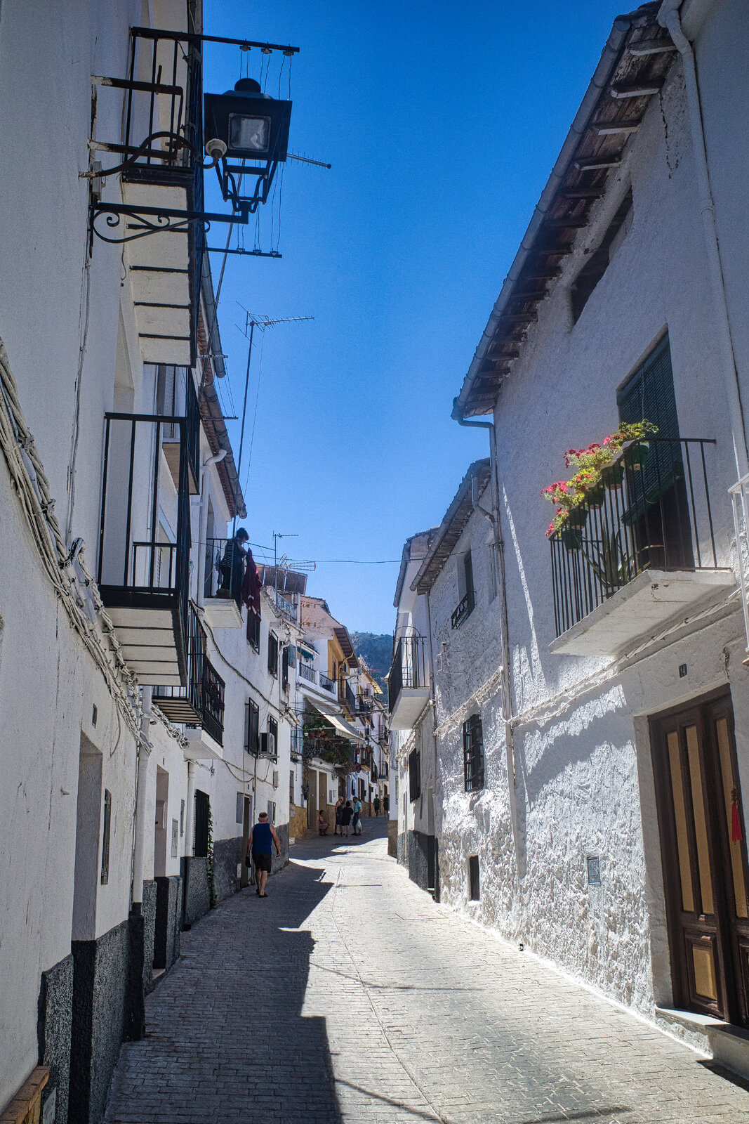 Vida en la sombra.jpg