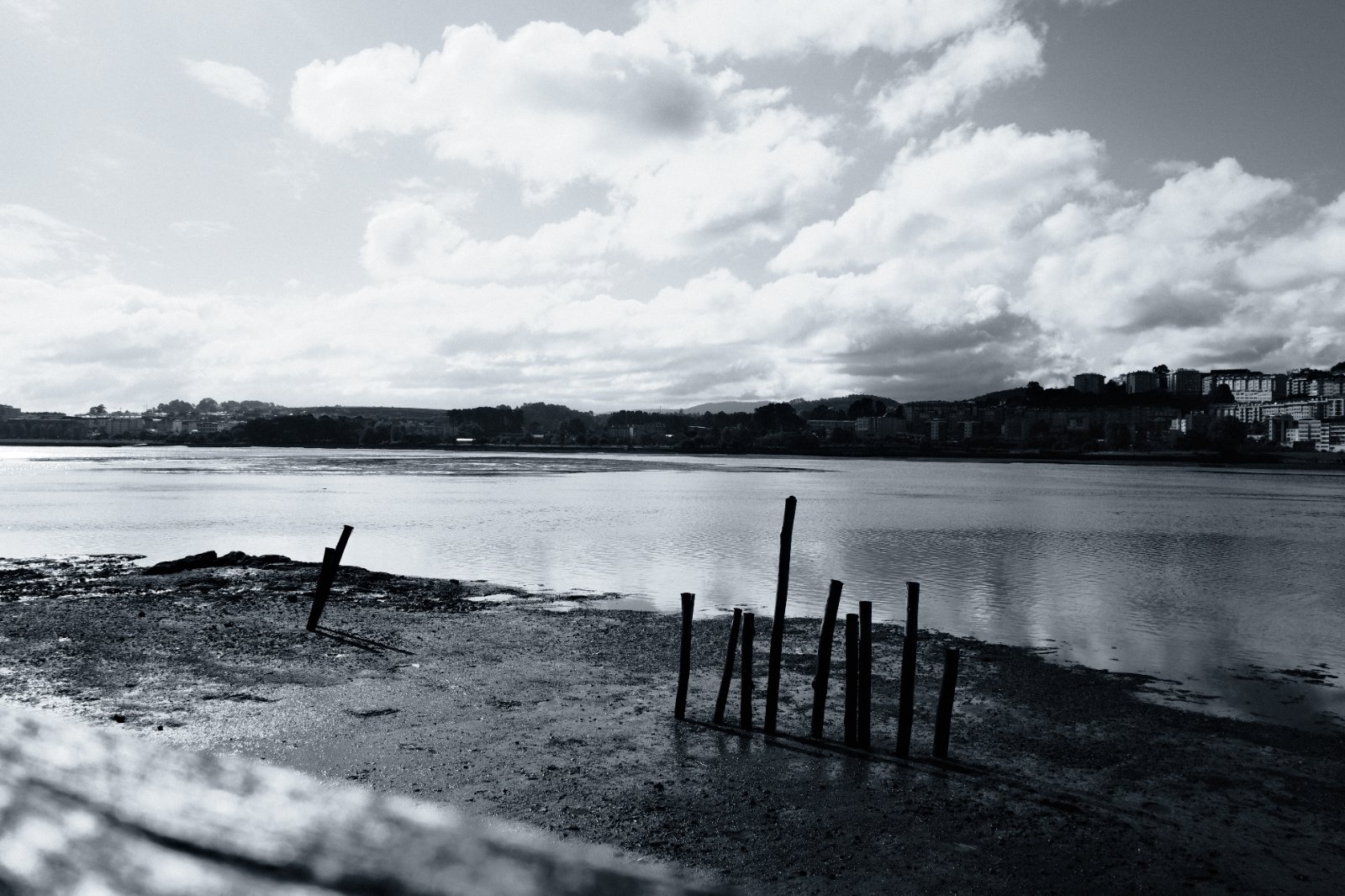 Washi 50D 2.JPG