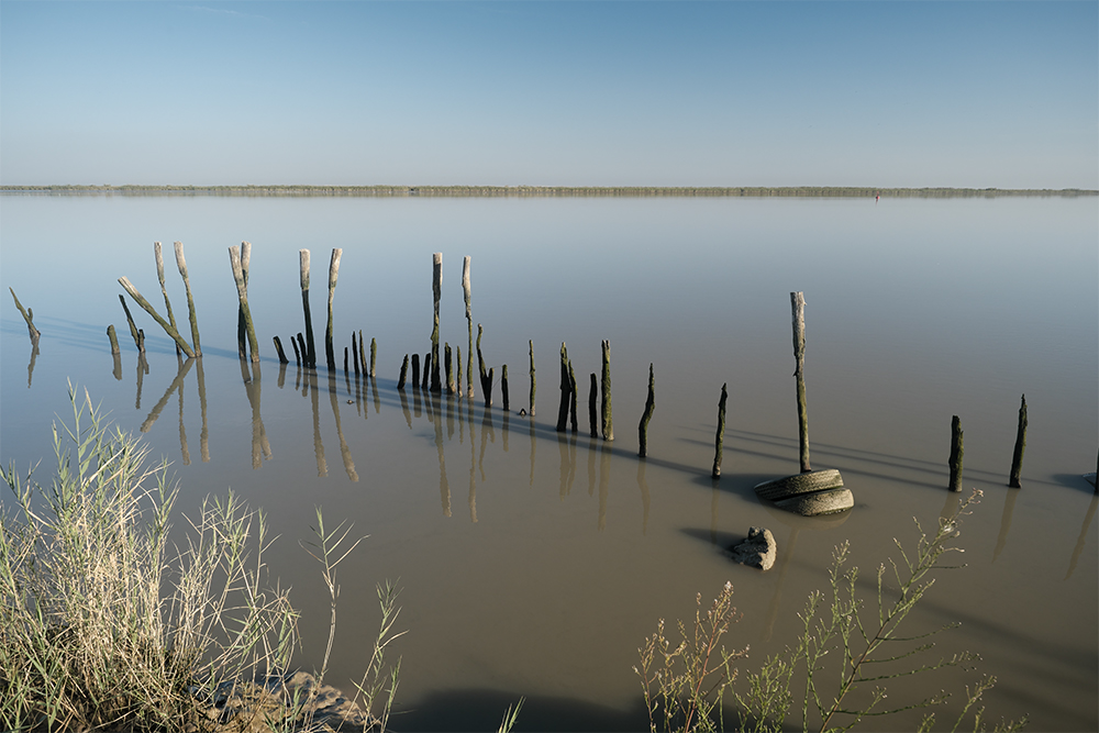 web procesada_DSF0074.jpg