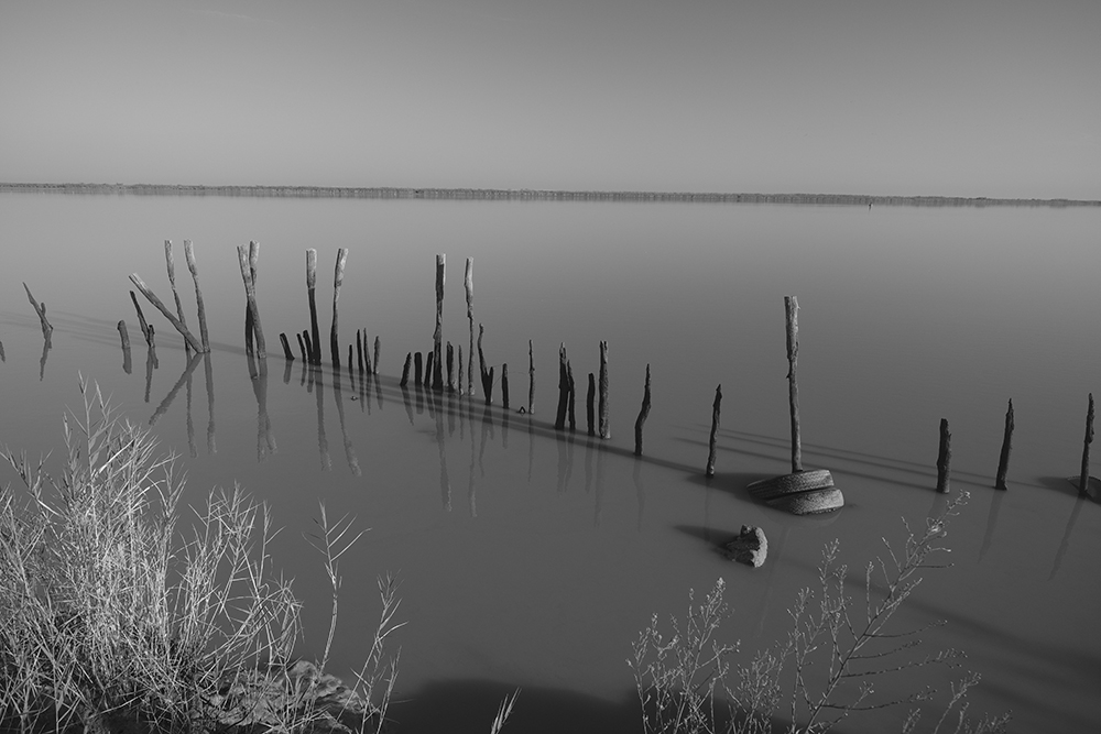 web_DSF0074.jpg