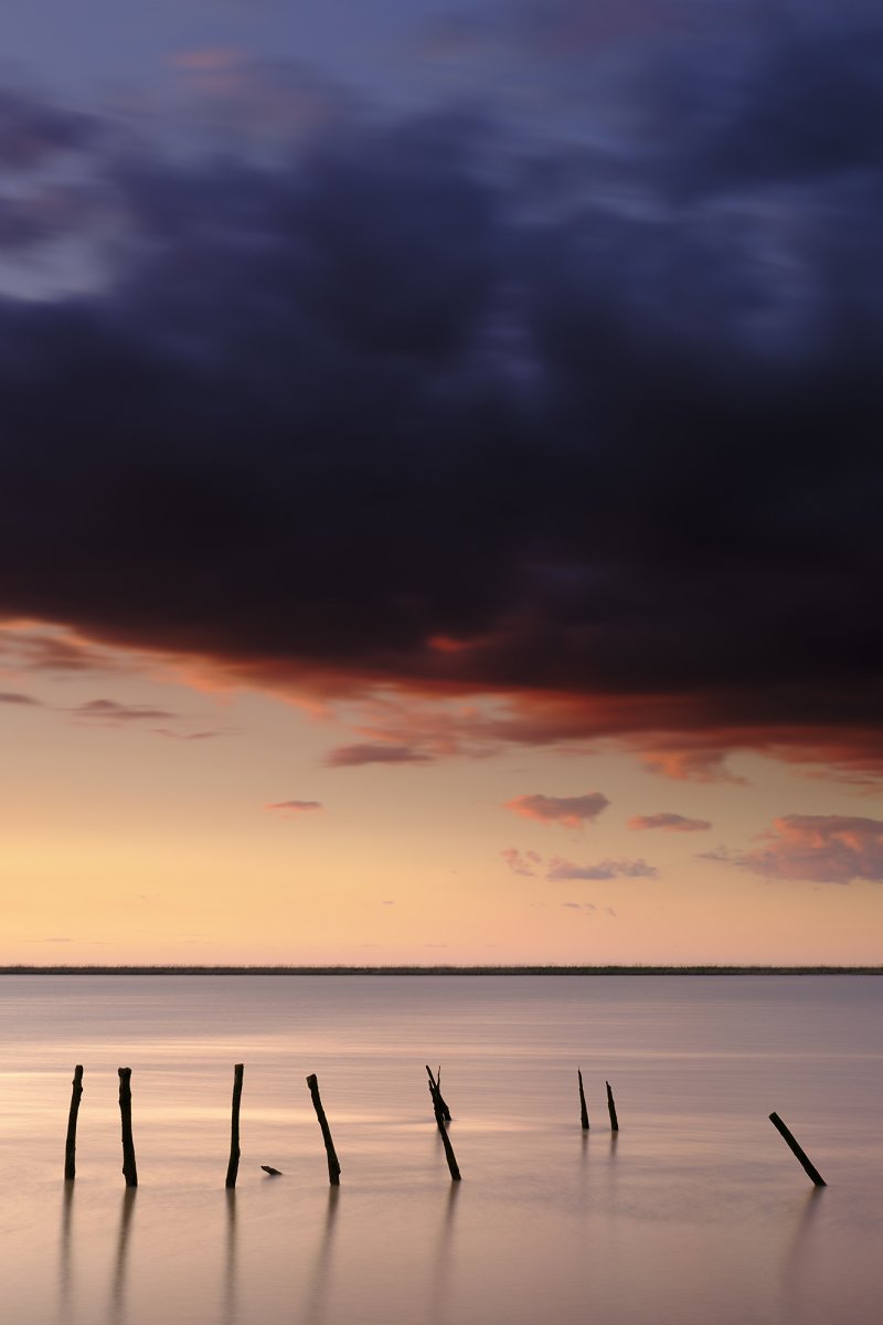 web_XT31657.jpg