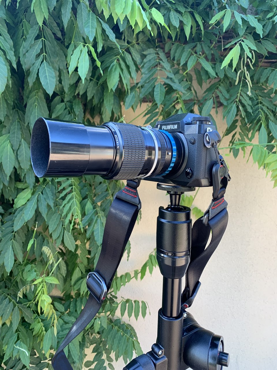 X-H1-nikon200mm.jpg