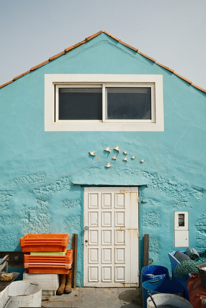 X1001042(1).jpg