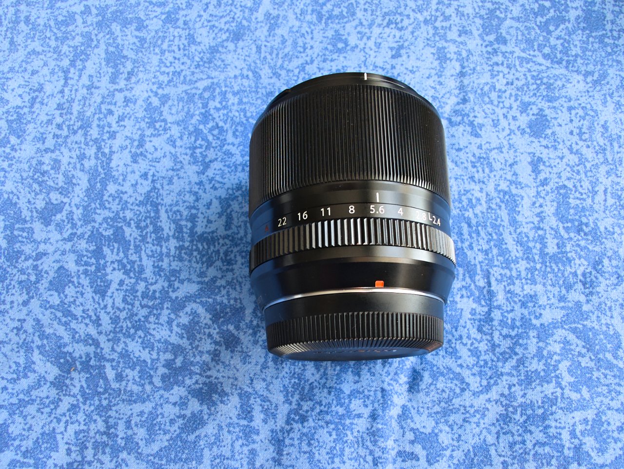 XF 60mm Macro 5.jpg