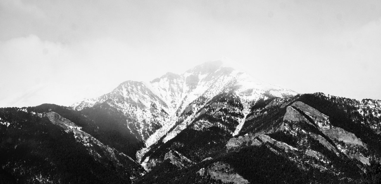 XS101263.jpg