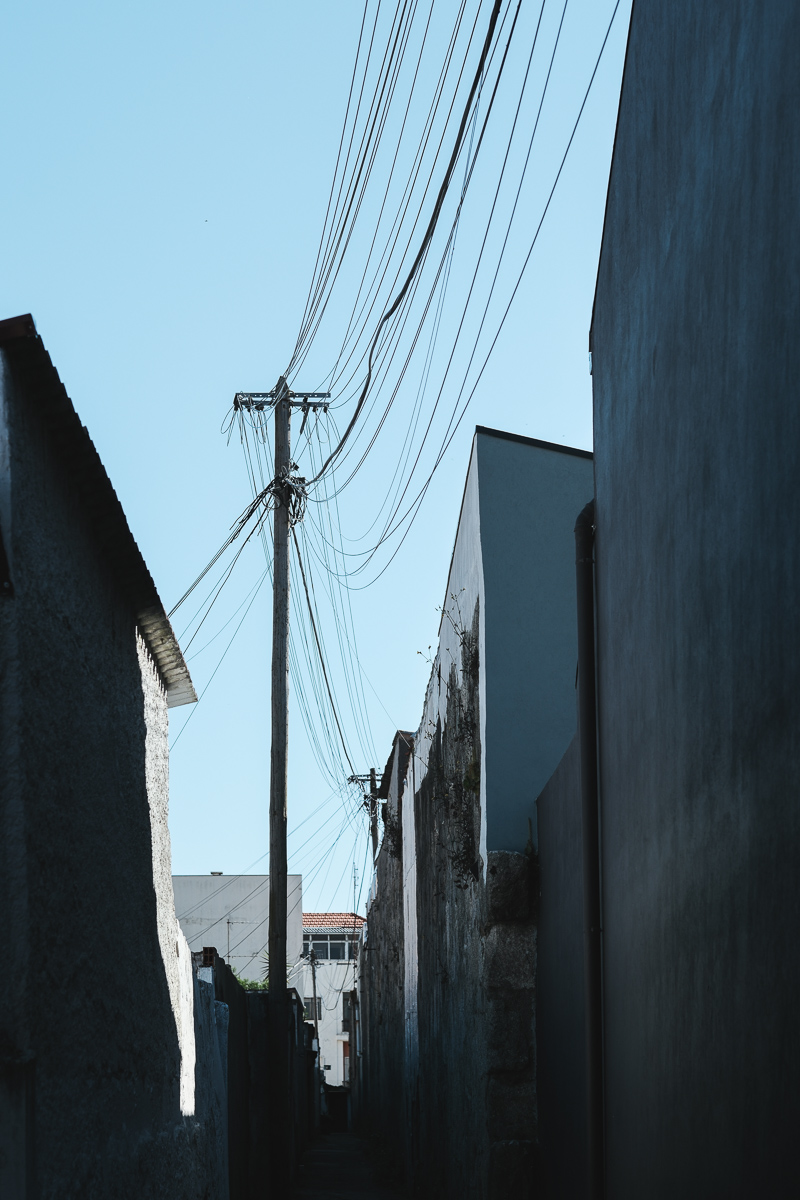 XT051948.jpg