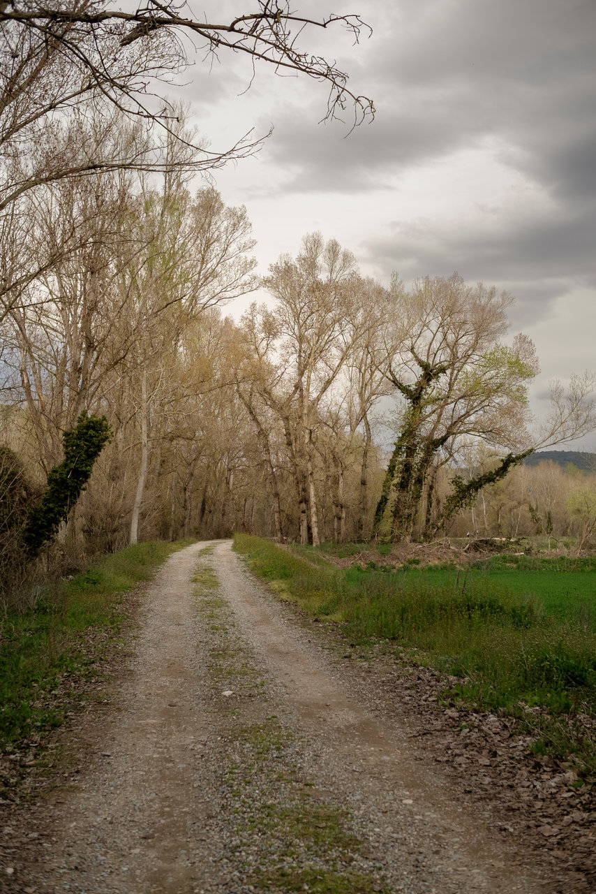 XT1N9568.jpg
