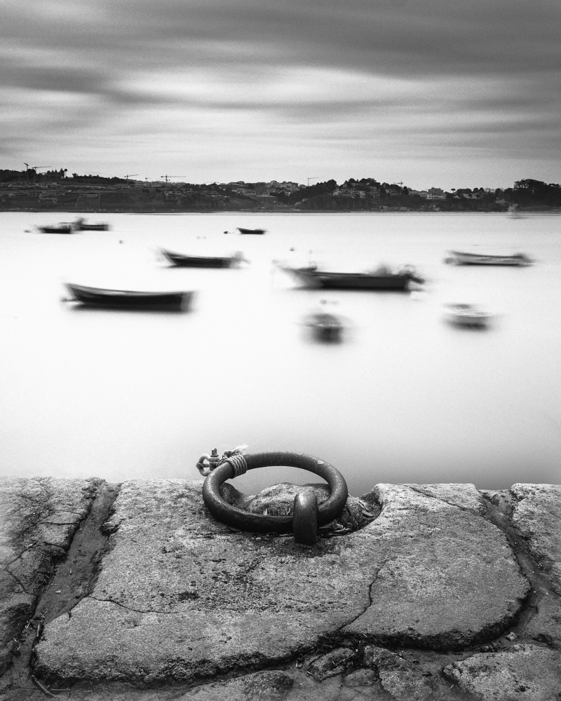 XT200287-1.jpg