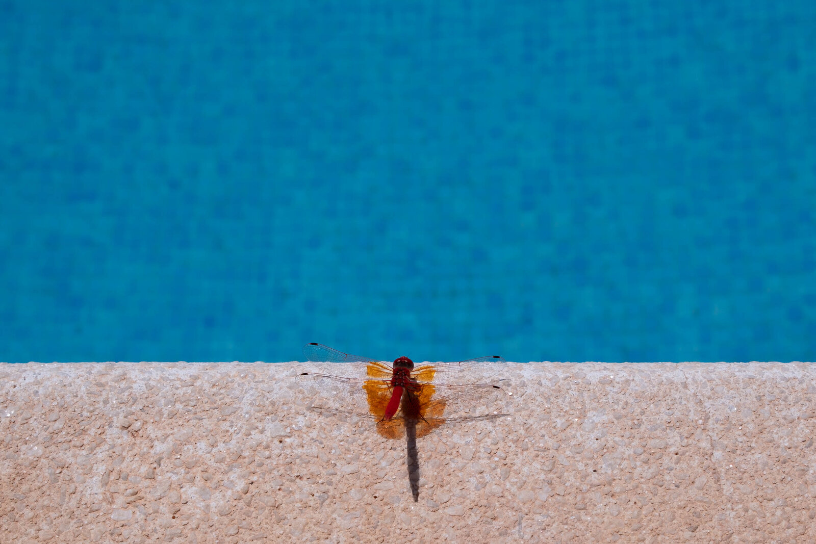 XT5F0759.jpg