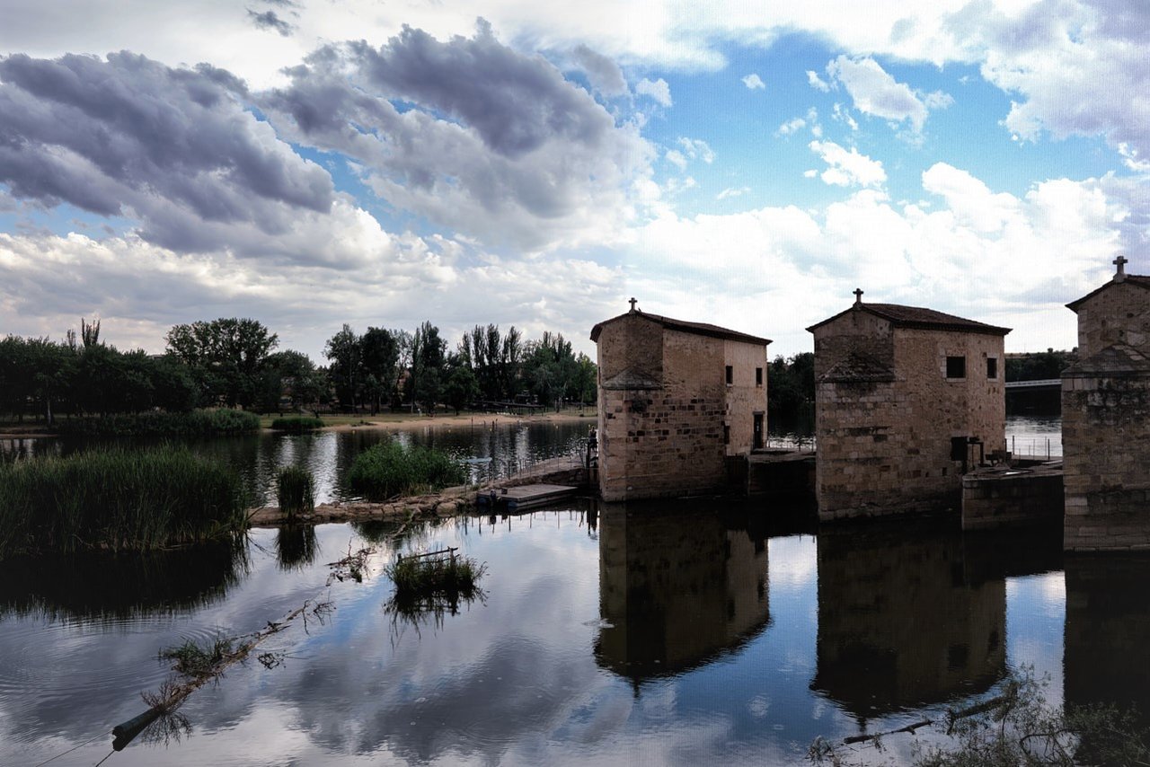 Zamora (10) bis.jpg