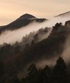 IMG_20231218_171242_161.jpg