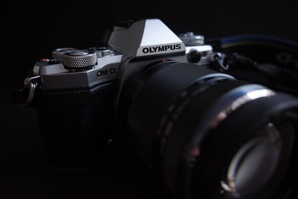 OM D-001560.jpg