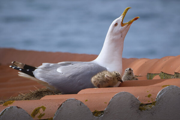 DSCF0279.jpg