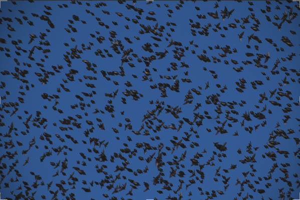 1746982659242.png