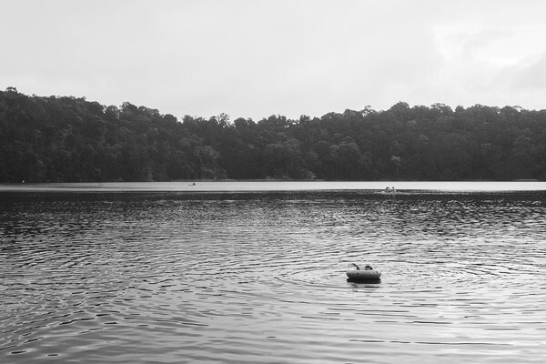 DSCF1186.jpg