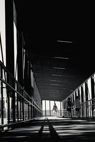 DSCF1559.jpg