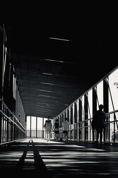 DSCF1561.jpg
