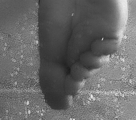 250220@143836_510CABINA DUCHA -BN1-sombrared2500px.jpg