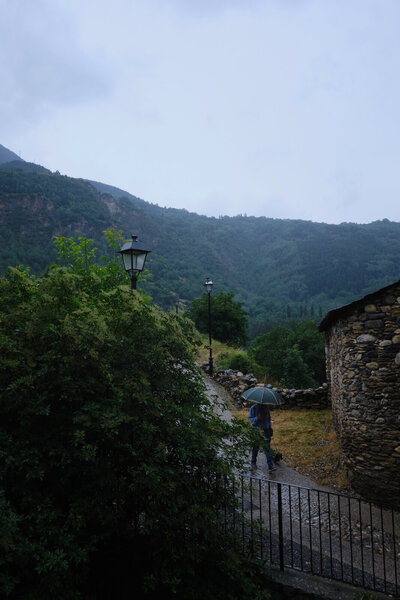 DSCF7707.jpg
