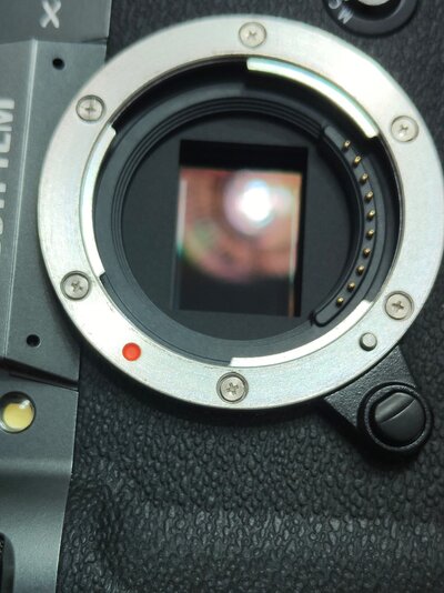 IMG20250713094334.jpg