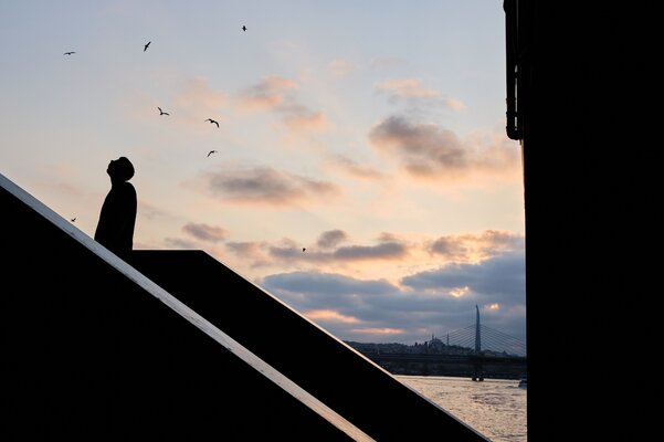 Silueta puente Galata.jpeg