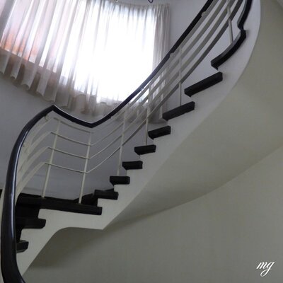 mg (8).jpg