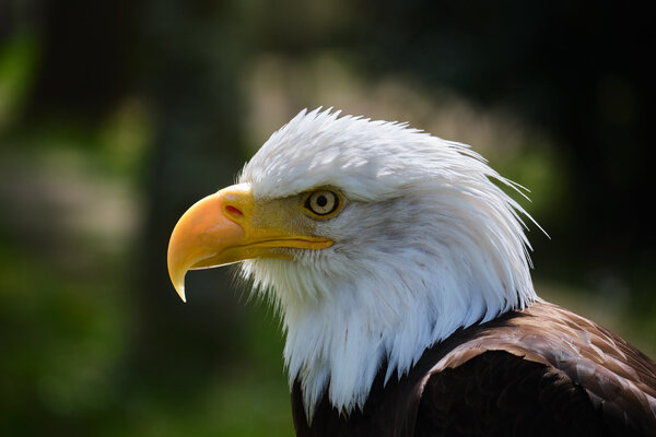 DSCF8115B.jpg
