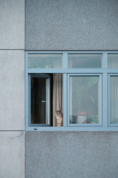 DSCF8704B.jpg