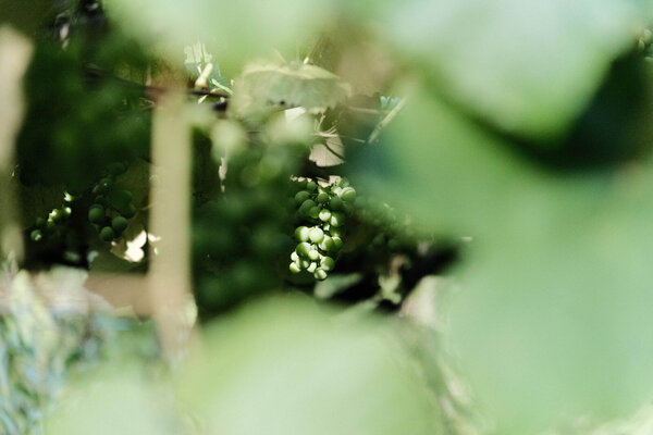 DSCF9267.JPG