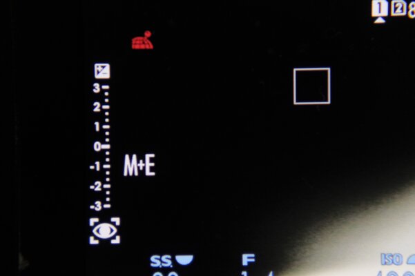 _DSF0305.JPG