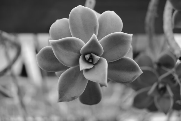 23 mm f2,8 a f2,8.JPG