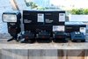Cactus__SGC4978.jpg