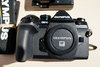 PC230272.jpg