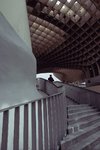 16536319-7C25-4B00-8467-3A0BBAF5C908.jpeg