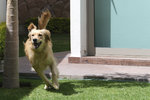 DSCF0103.jpg