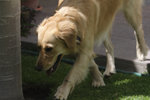 DSCF0135.jpg