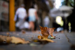 DSCF1678.jpg