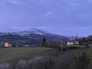 C036D43E-7837-419D-BFD9-7E3A0A8B97D1.jpeg