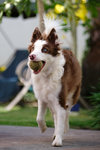 DSCF2288.jpg