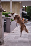 DSCF6177 1.jpg