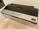 IMG_4818.jpeg