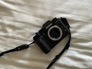 IMG_1080.jpeg