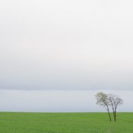 Archimboldi
