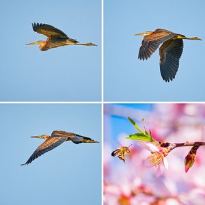 Naturaleza
